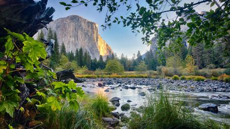 El Capitan wallpaper