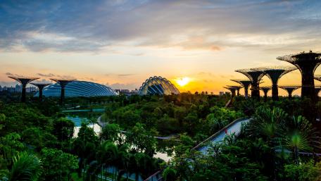 Gardens by the Bay wallpaper