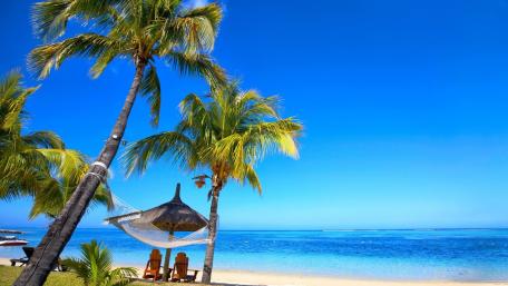 Tropical Paradise with Clear Blue Skies and Palms wallpaper
