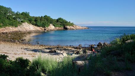 Ocean from Folly Cove wallpaper