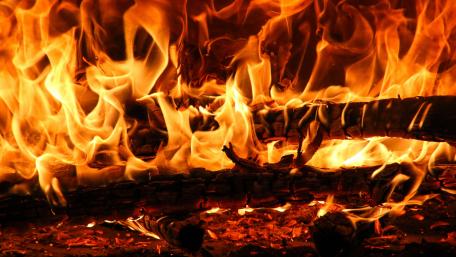 Dancing Flames and Glowing Embers wallpaper