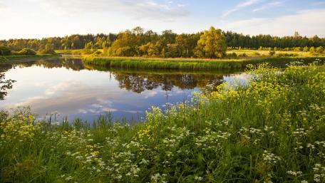Serene River Landscape in Russia wallpaper
