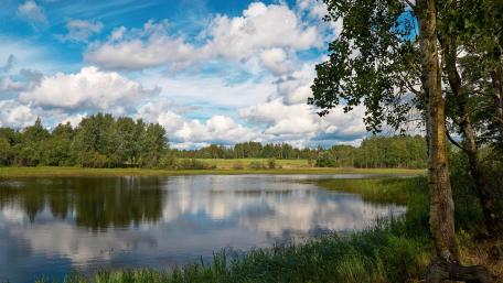 Serene Reflection by the Lake wallpaper