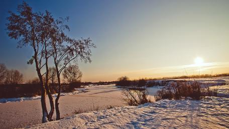 Frozen Serenity Along the Riverbank in Wintertime wallpaper