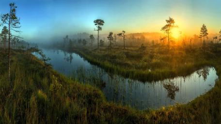 Serene Foggy Morning by the River wallpaper