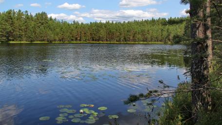 Tranquil Lake Reflections in Russia's Nature Beauty wallpaper