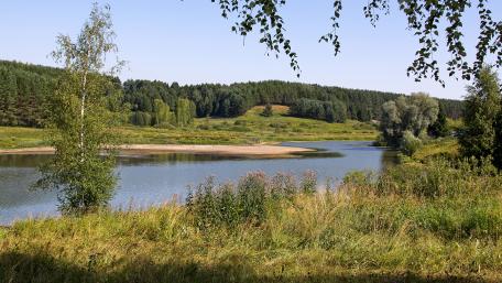 Serene River Landscape in Nature's Embrace wallpaper