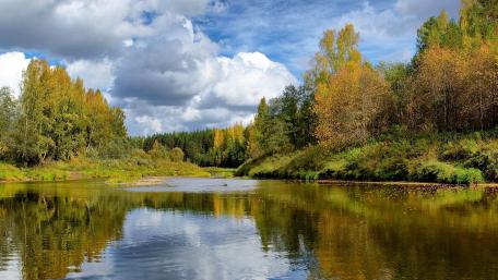 Serene Autumn Reflections by the River wallpaper