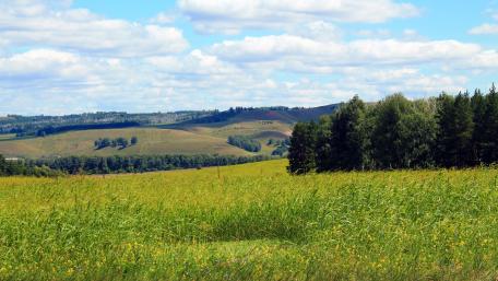 Vast Green Hills Under Blue Sky wallpaper