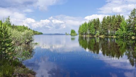 Serene River Reflection Under Blue Skies wallpaper