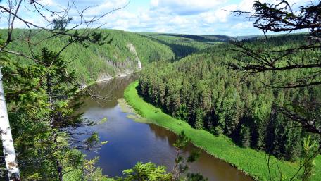 Serene River Flowing Through Lush Green Forests wallpaper