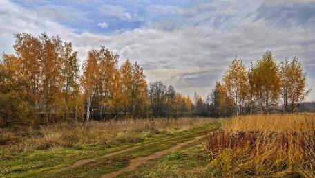 Golden Autumn Serenity in the Countryside wallpaper