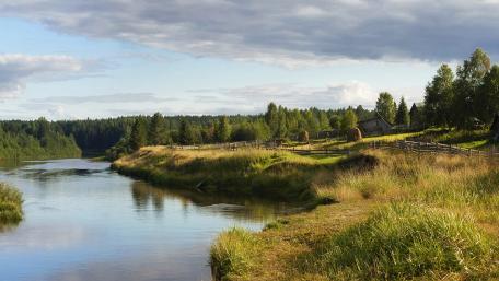 Serene Riverbank Amidst Lush Greenery wallpaper