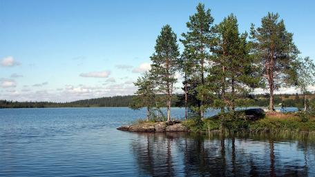 Serene Lakeside Reflections in Nature wallpaper