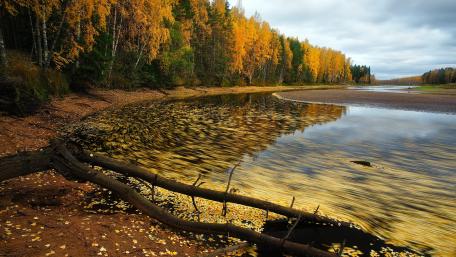 Darwin Nature Reserve wallpaper