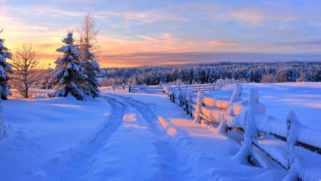 Winter Wonderland Road Through Snowy Landscape wallpaper