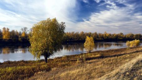 Golden Autumn By The Tranquil Riverbank wallpaper