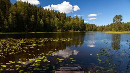 Serene Lake Reflections in Nature's Embrace wallpaper