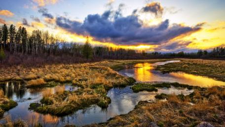 Serene Wetland at Dusk with Reflections in Water wallpaper