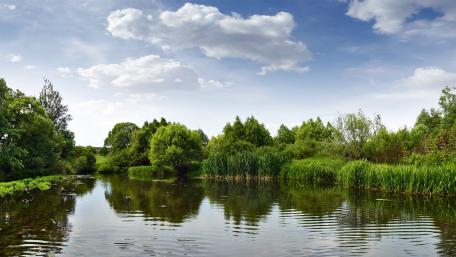 Serene River Reflections in Nature's Embrace wallpaper