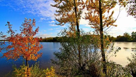 Autumn Serenity by the Lake wallpaper