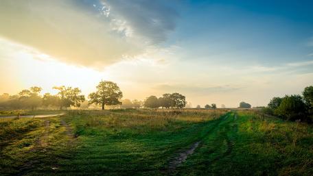 Serene Sunrise over a Tranquil Field wallpaper