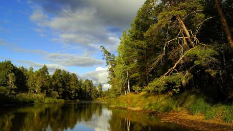 Serene River Reflection Amidst Lush Forests wallpaper