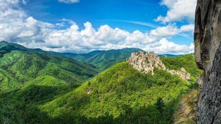 Serene Green Mountain Landscape for Tranquil Vibes wallpaper