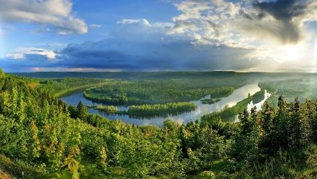Serene River Bend in a Lush Green Landscape wallpaper
