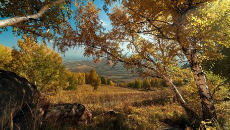 Autumn Serenity Unveiled wallpaper