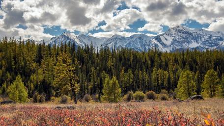 Majestic Mountains Embraced by Nature's Palette wallpaper