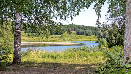 Serene View of a Riparian Landscape wallpaper