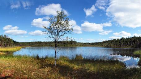 Tranquil Lake under a Blue Sky wallpaper