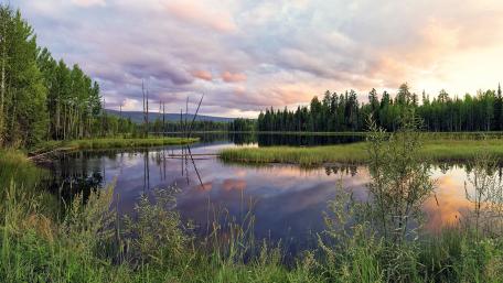 Serene Reflections of Nature's Tranquility wallpaper
