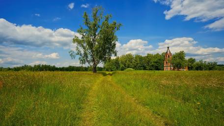 Serene Summer Day in a Rural Setting wallpaper