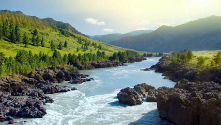 Serenity by the Riverbank wallpaper
