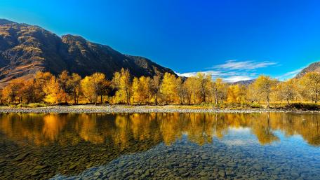 Fall in Altai wallpaper
