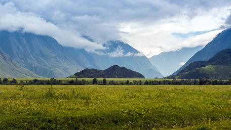 Majestic Highland Meadow Under Cloudy Skies wallpaper