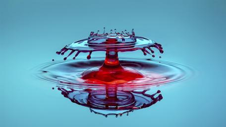 Vivid Water Droplets Artistry wallpaper