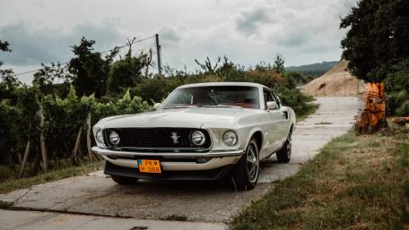 Classic Ford Mustang in Scenic Vineyard Setting wallpaper