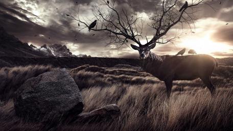 Deer with Tree-antler wallpaper