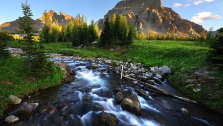 Serenity in Nature's Embrace wallpaper