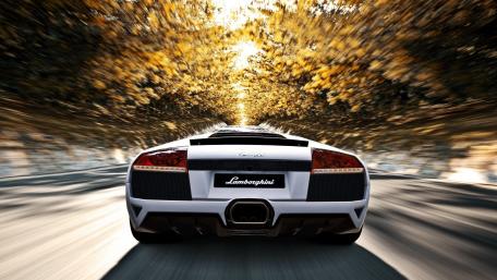 Sleek Lamborghini Murciélago on a Scenic Road wallpaper