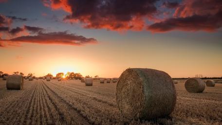 Golden Sunset Over Bales in the Field wallpaper