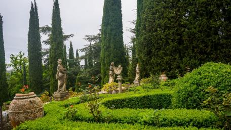 Serene Beauty of a Botanical Garden Nature Escape wallpaper