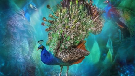 Majestic Peafowl in Enchanted Realm wallpaper