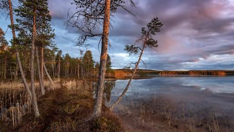 Tranquil Lakeside Serenity wallpaper