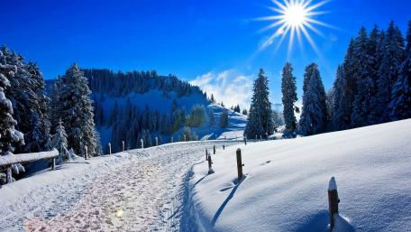 Winter Wonderland Bliss wallpaper