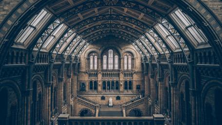 Natural History Museum (London) wallpaper