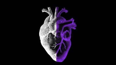 Human heart wallpaper